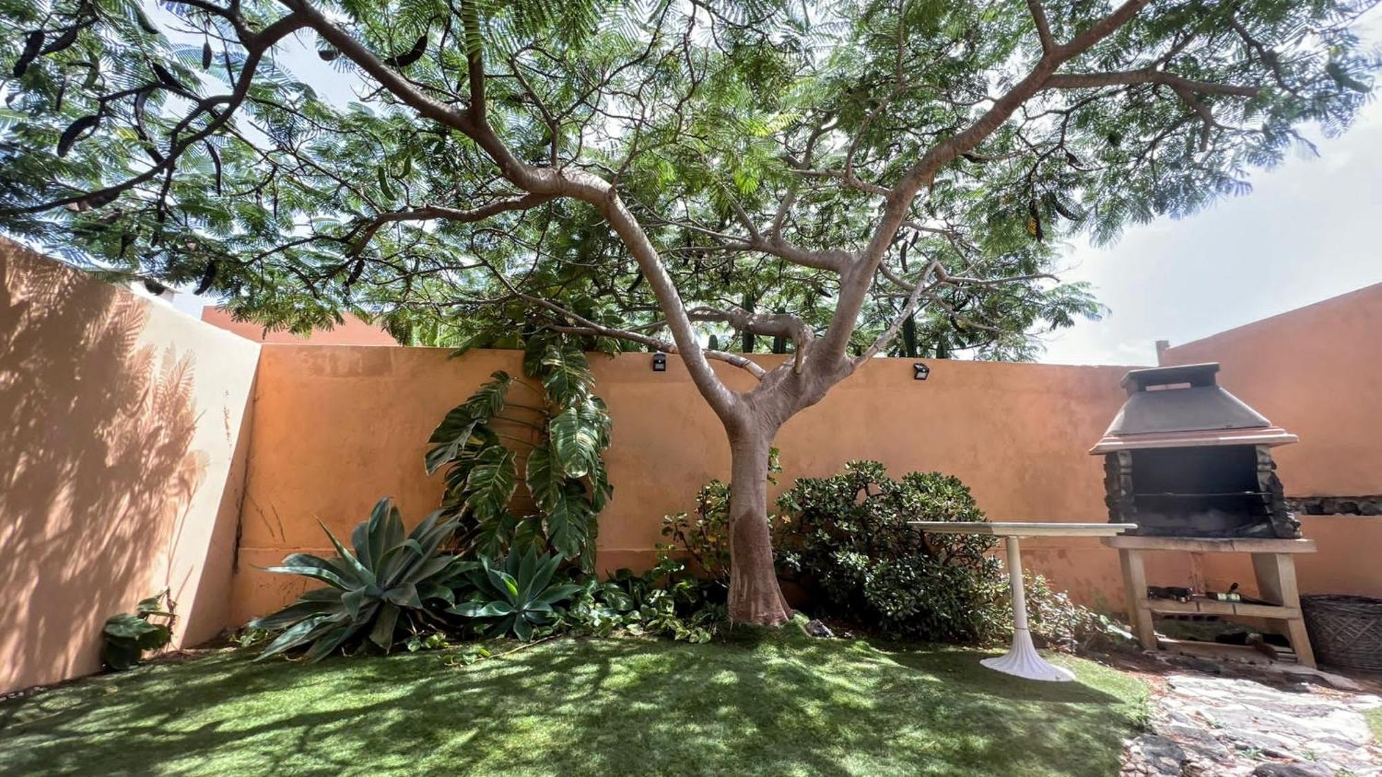 Casa de vacances Orquidea